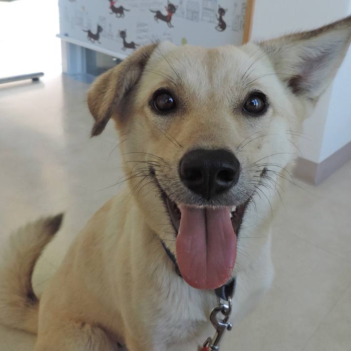 0345b35f 2804 442e 92c6 629690e8cae3