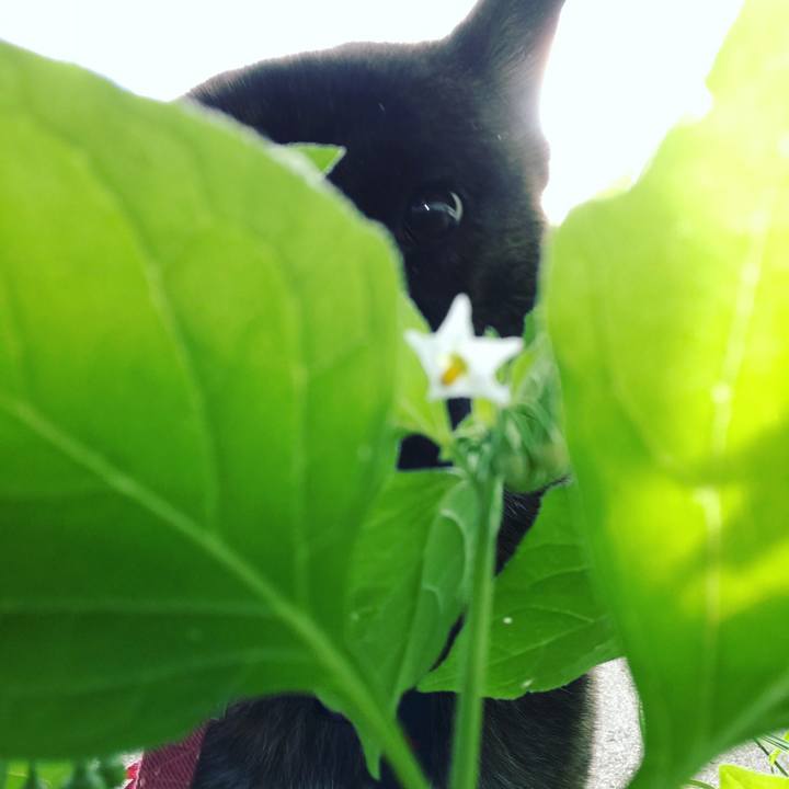 0345baf2 d19f 4c37 afe4 f51e471b3e05