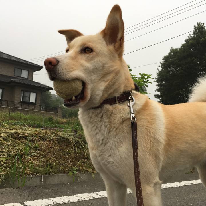 034808f5 94c2 4de8 8461 3def89b1d651