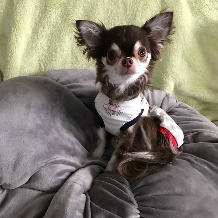 034914d0 e00c 4cc9 802e 584e3b2fbb1a