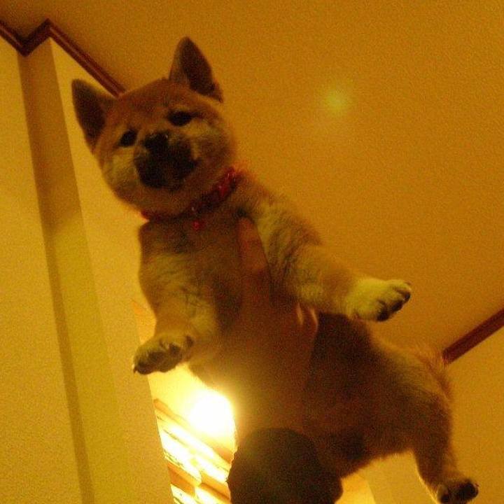 03495acc d117 4f6e 9dbb 2b75d1bac3a6