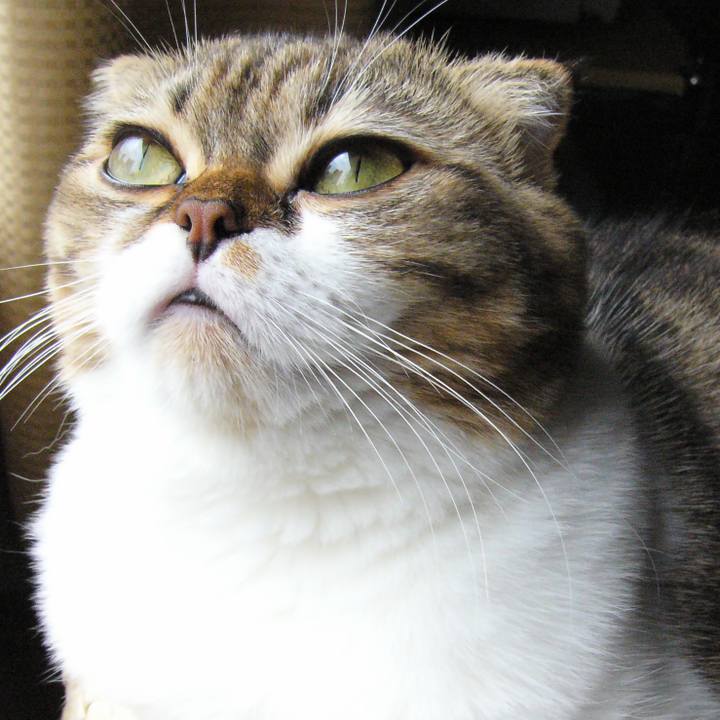 0349782c bcec 4c02 8993 f0fbad91e35b