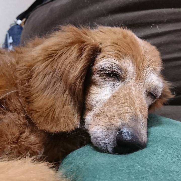 0349aae8 edbe 4717 b372 3ce23cd05f23