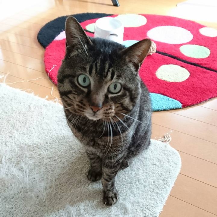 0349c20d 71f4 48f2 97f1 d9fea03fcc62