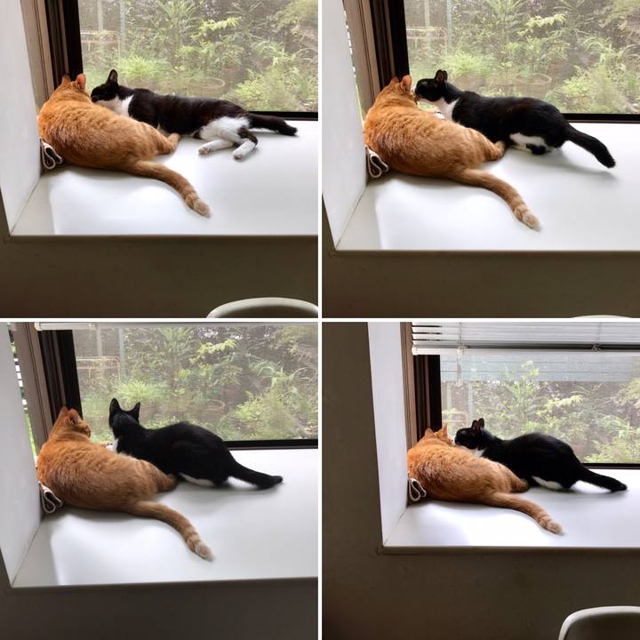 0349f4a6 b13d 45cf 9be9 60f0211e4c62