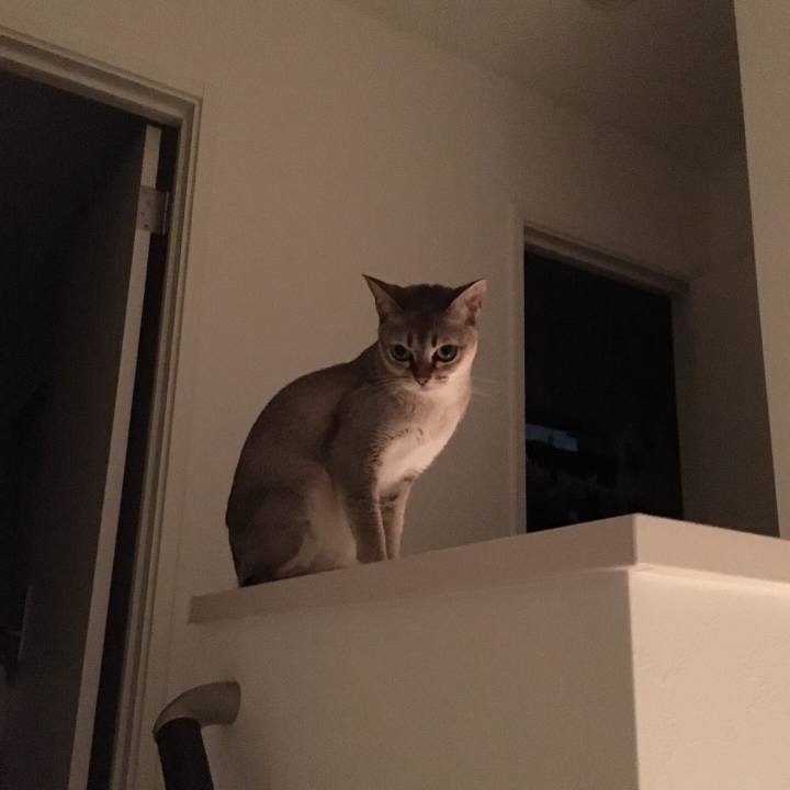 034a0109 920e 47ad 9ea5 3c9e57026509