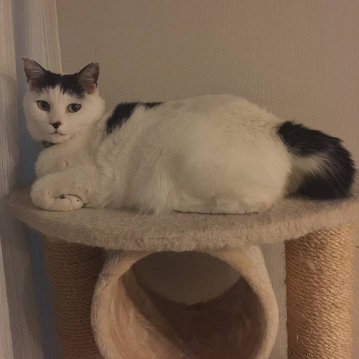 034af4c8 0e29 4d4b 9fb1 6bdf9d53d7d9