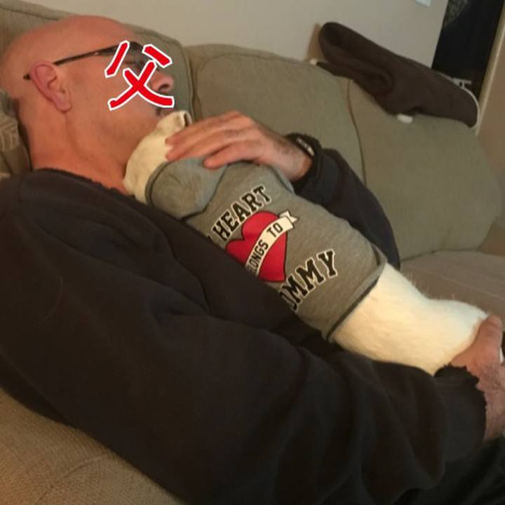 034b9253 5efd 480f 9d50 01c2a5fb794b