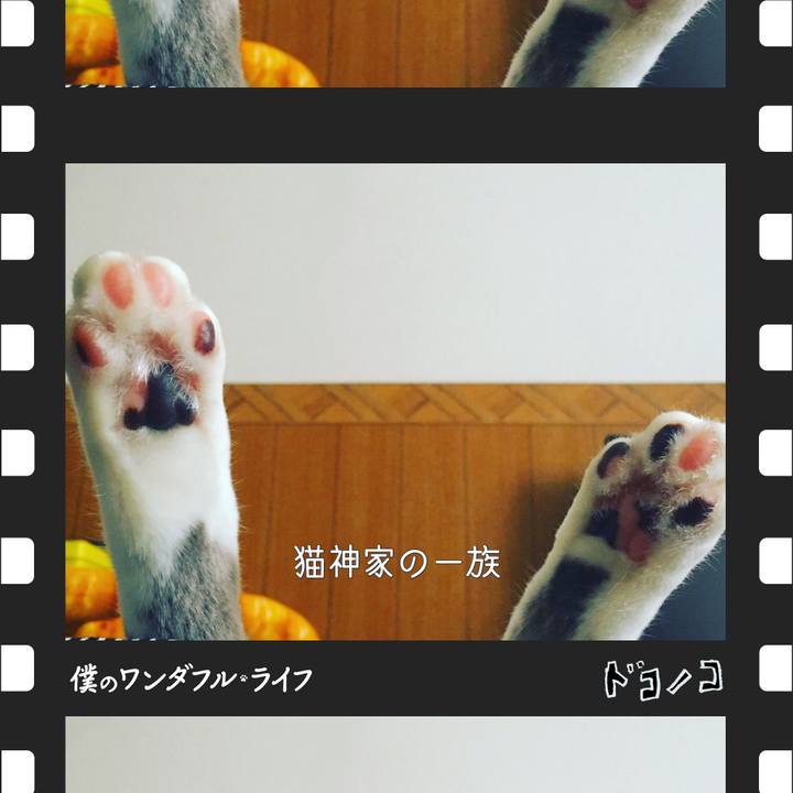 034bdf3c 70ec 43de a1f2 d0c1df4828f0