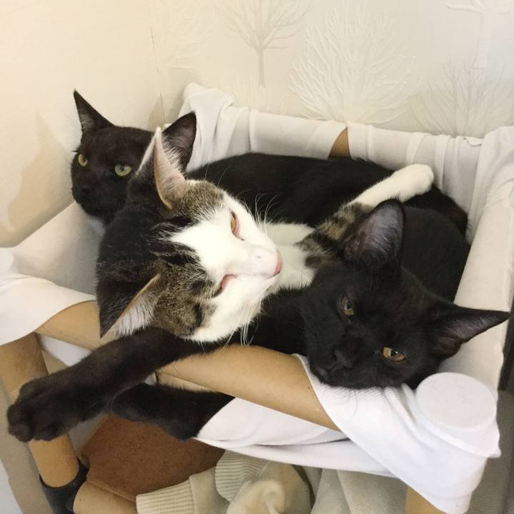 034c959c bb08 4e50 ba3d 2350c9269893