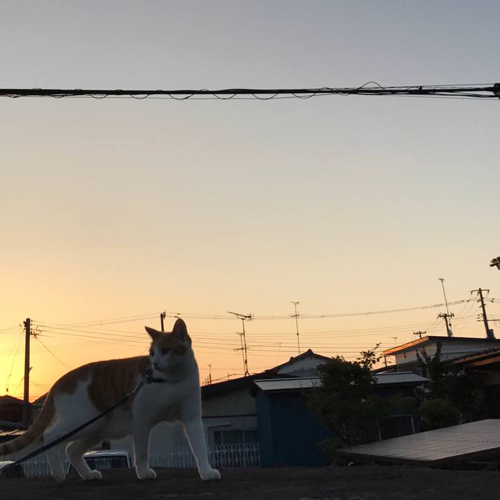 034cab1f c2e8 45f0 8a84 5b7458f6046a