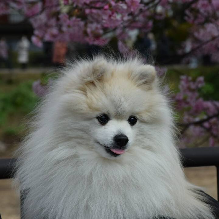 034d1fd0 5f86 4683 9c19 f5cf499be80e