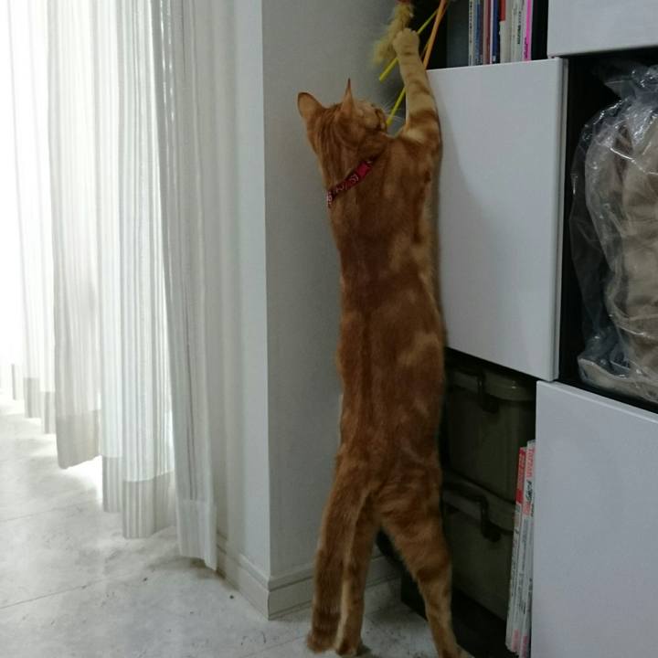 034e3ca6 2dbc 4e90 9efc 47e630b0e2bb