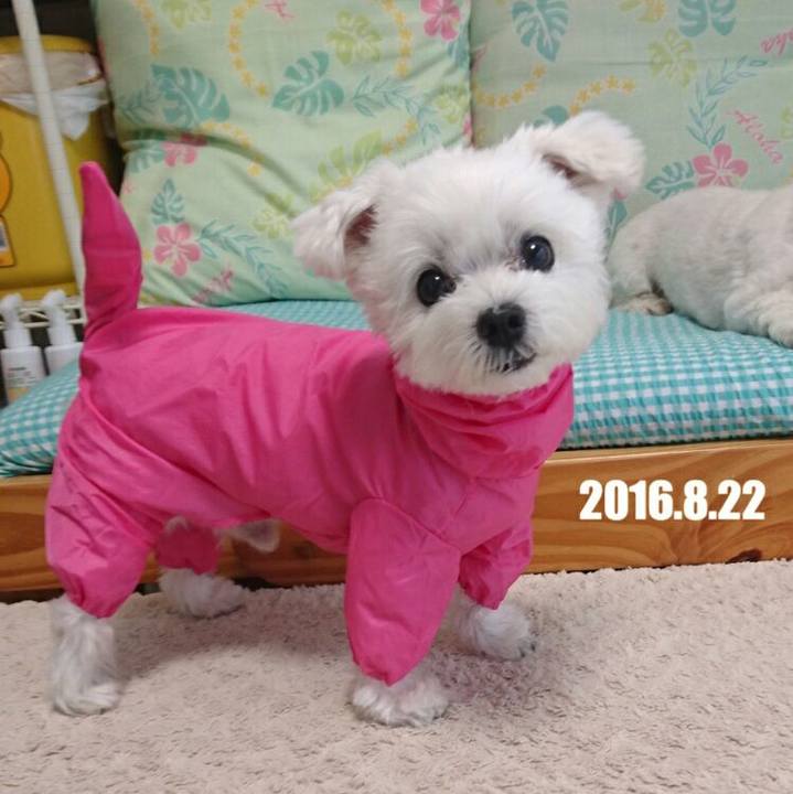 034ecd93 b805 4147 9811 f3efaa2711a4