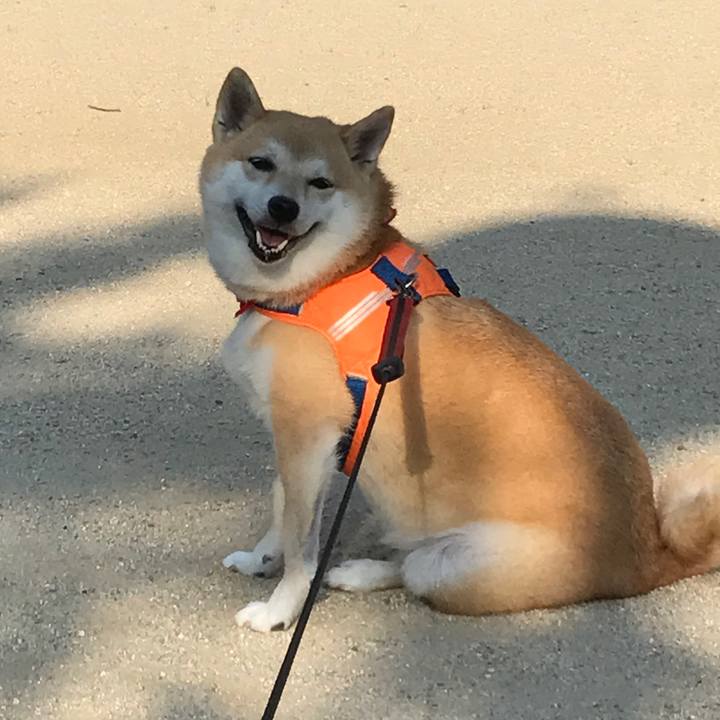 034fe82e bf52 41d1 b53c e97673b3c5e8