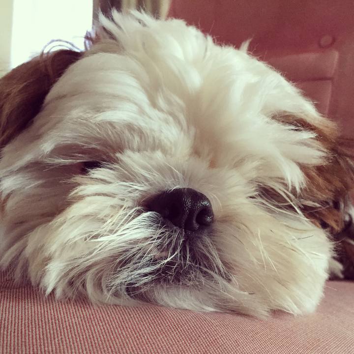 034febd1 6744 4e22 932c afbd7d4746a5