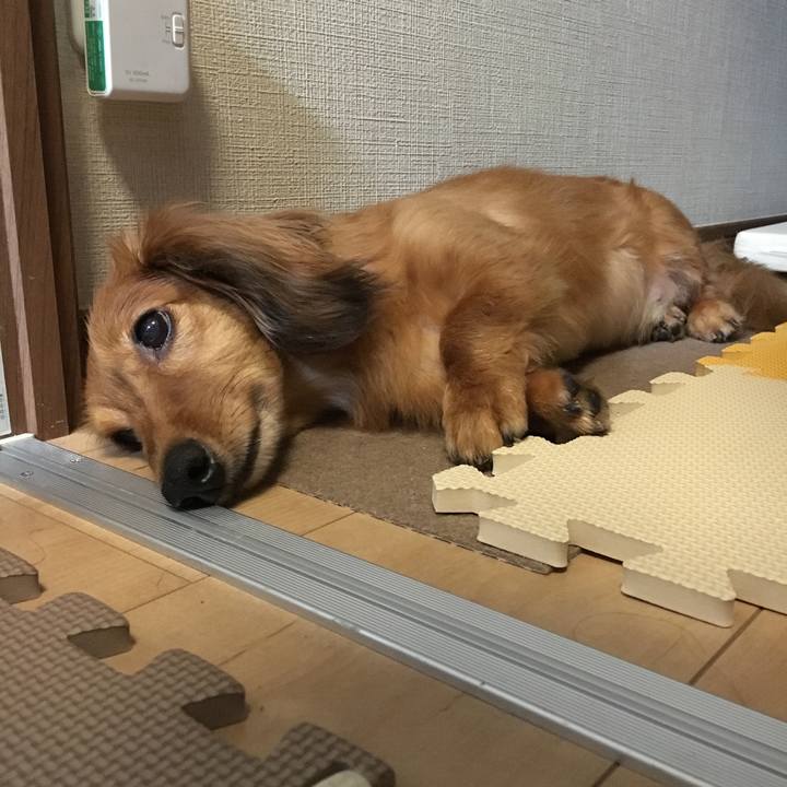 0350214d 7333 4b32 9b60 c86cec7b8c50