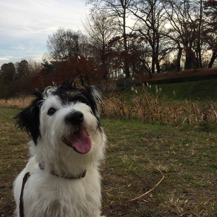 0350fc80 79e1 486f af71 815d05cd0f45