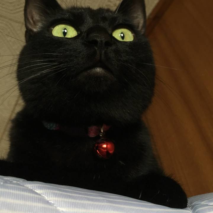 03510e84 20d0 4599 8be5 fa81e556f3e9