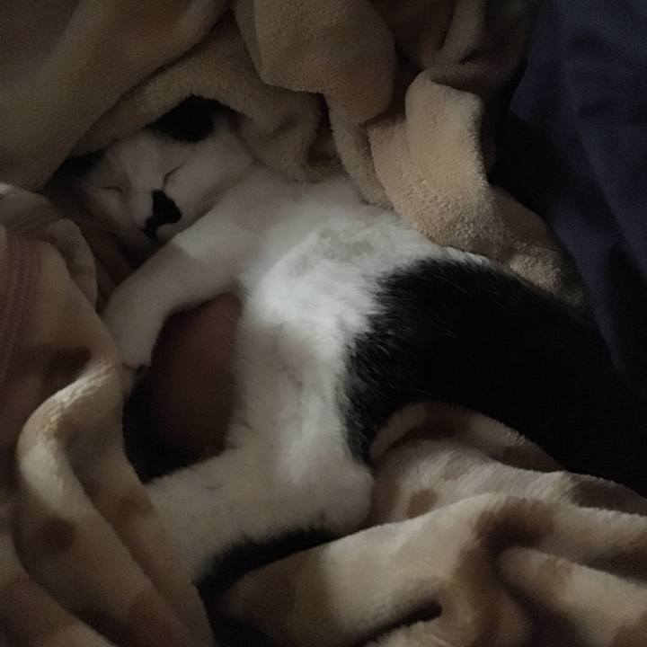 03511021 c2d4 4607 a05f 15d9596df1a6