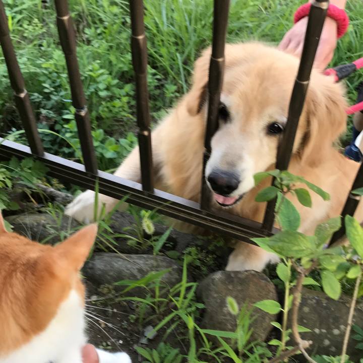 03512444 dcc4 4885 95a7 34893cae8c58