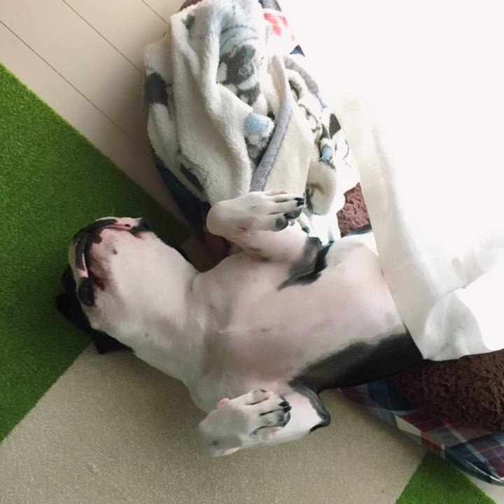 035198e6 57e5 440a b37e a9c0cf4a12ae