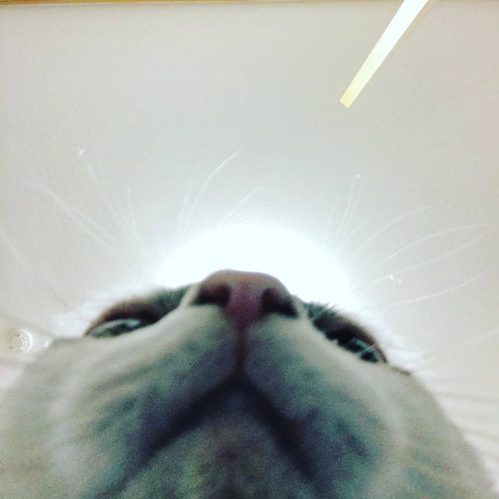 03522d3d 73f1 4f25 a413 7af13426ac1e