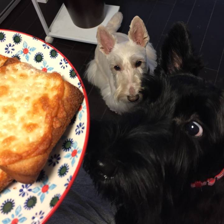 035240e0 fc0e 49cd bc0b 4e70b8229426