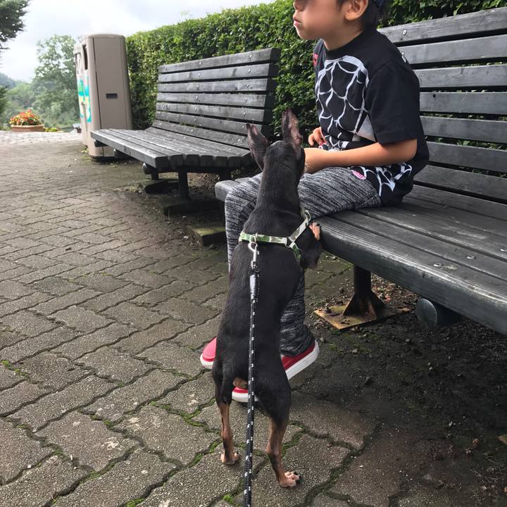 035275a8 a91e 4597 a27b d3c6fa92e270