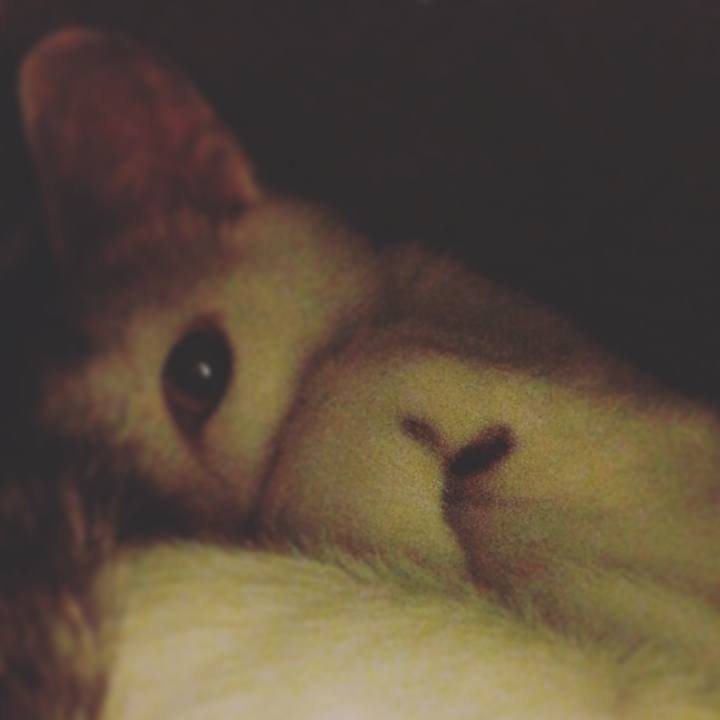 03534cfa c17f 4e42 8d2d fcd782778a52