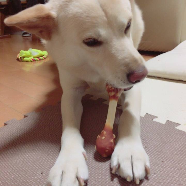 03536e38 3f20 4614 ae95 96b30fc38b60