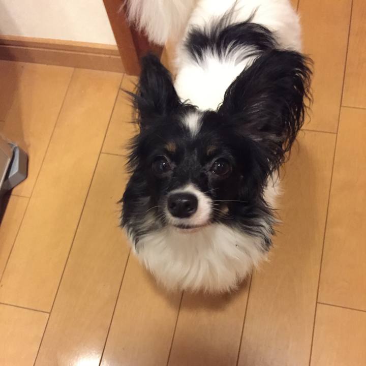 0353fd90 e4f7 4cf4 b0d1 b8900c4b9ef2