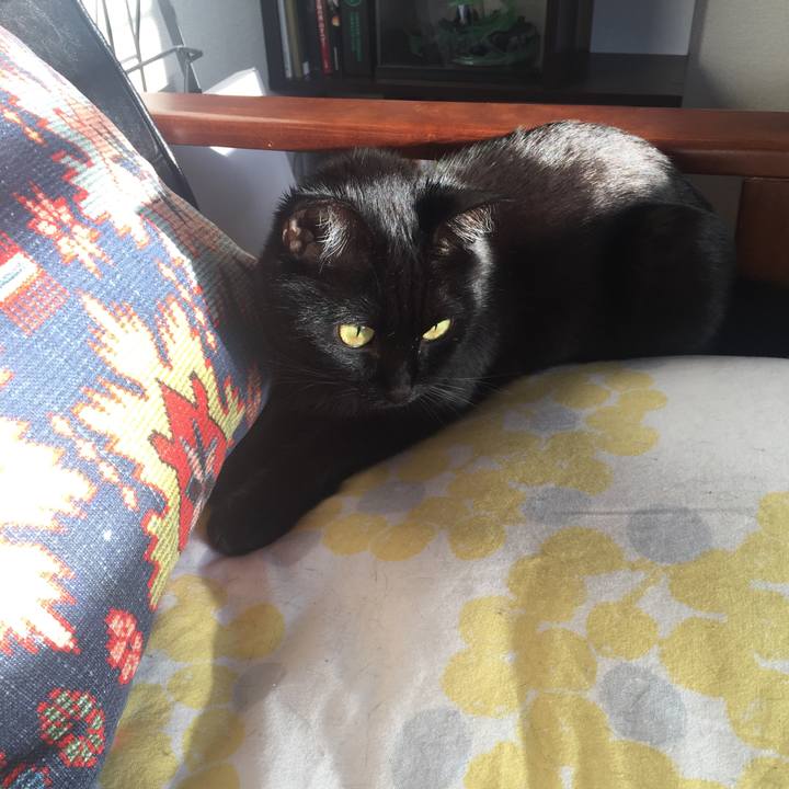 0354324f 7360 44e9 a215 a959b35d078b