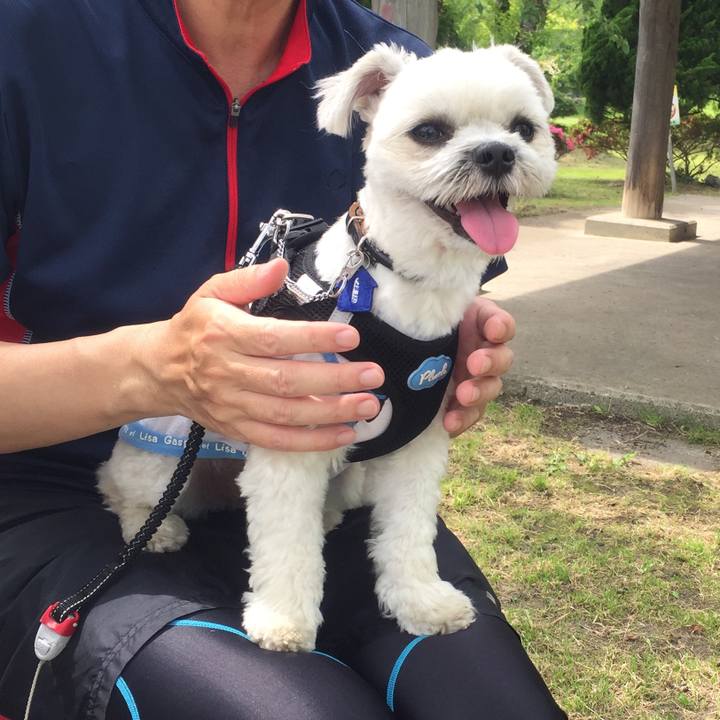 03543875 7304 493d 8938 76d3d172d4db