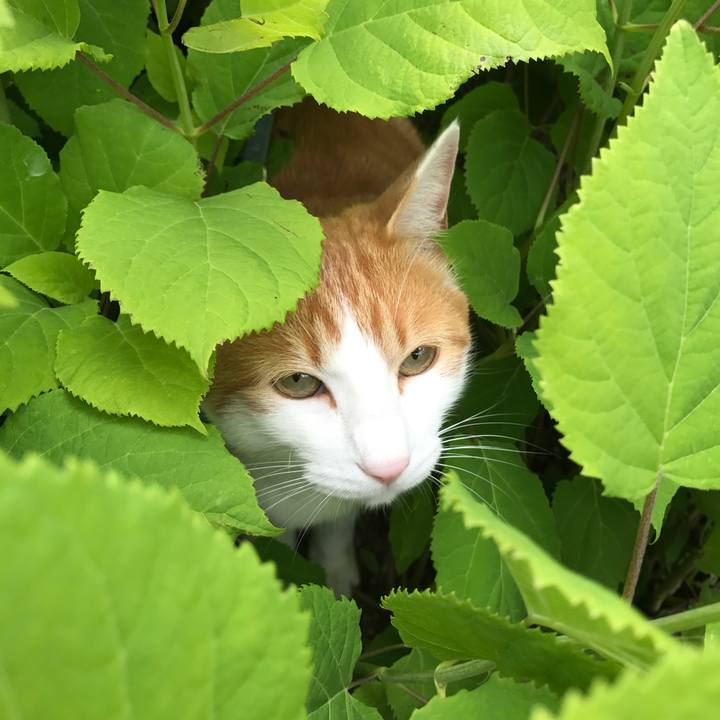 03543f99 8728 4307 ace4 bbb089251db0