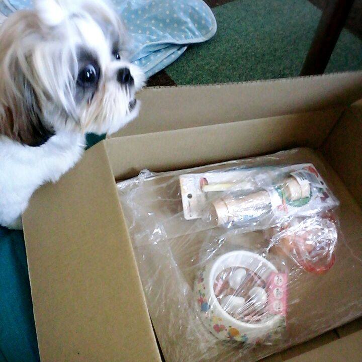 035450dd ec86 4bc6 8e5c 2da84230b4ff