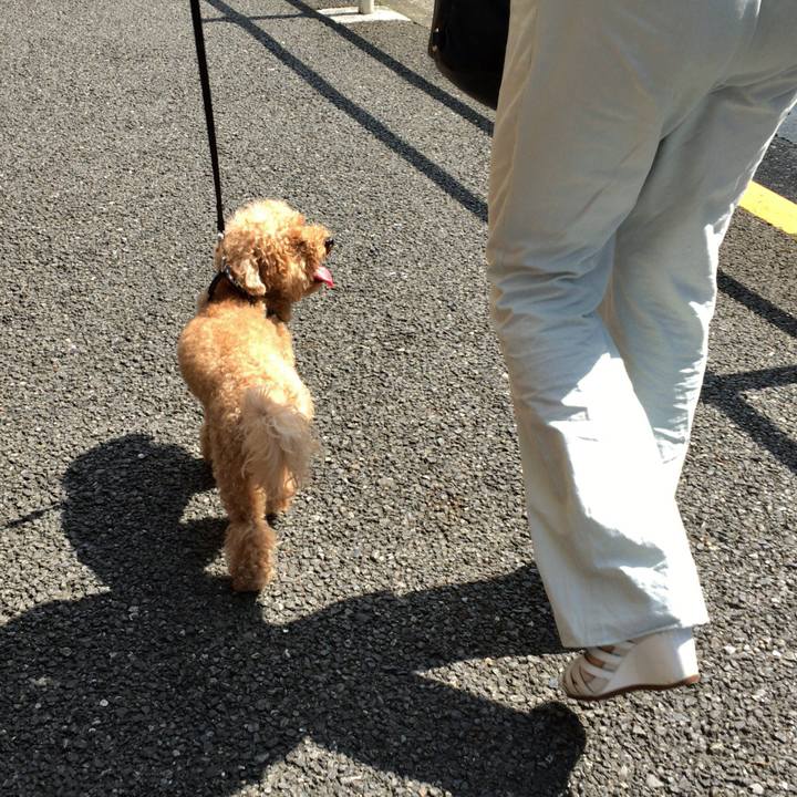 035508d2 2c9d 447b b166 99bb93192703