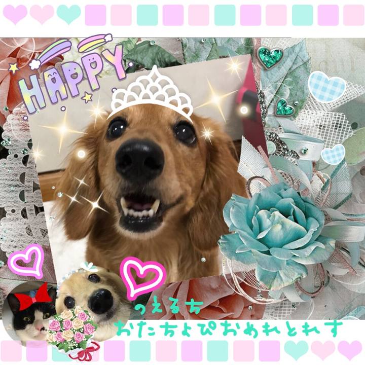 03553c5f 8b5e 4fee b580 4ad5ad8226a3