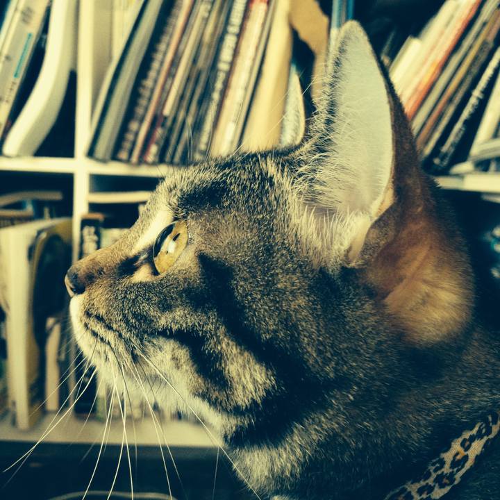 0355df3b 3cec 49ec 8c17 b5da8bb0ecf4