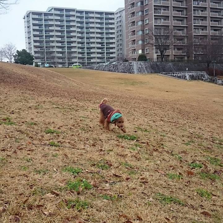 03564558 3611 45e3 b40c 6fec5fb5df84