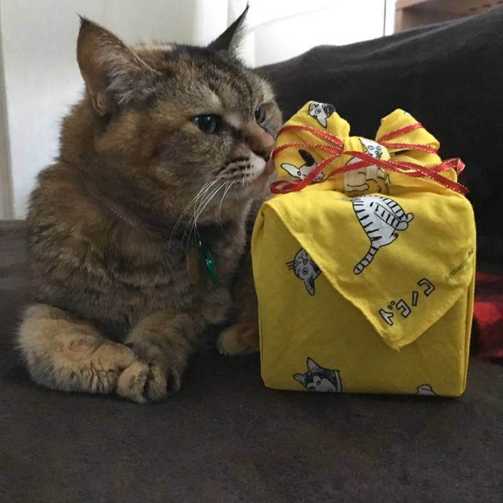 03577dc6 7170 409d 8ee4 ad469e8e6eb8