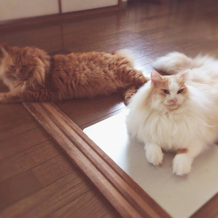 0357930a 5b2b 4d7b 85ff 6501381e5457