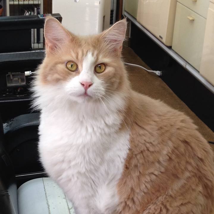 0357a4bb 948d 4ac9 aacb f9ad07e51fdc