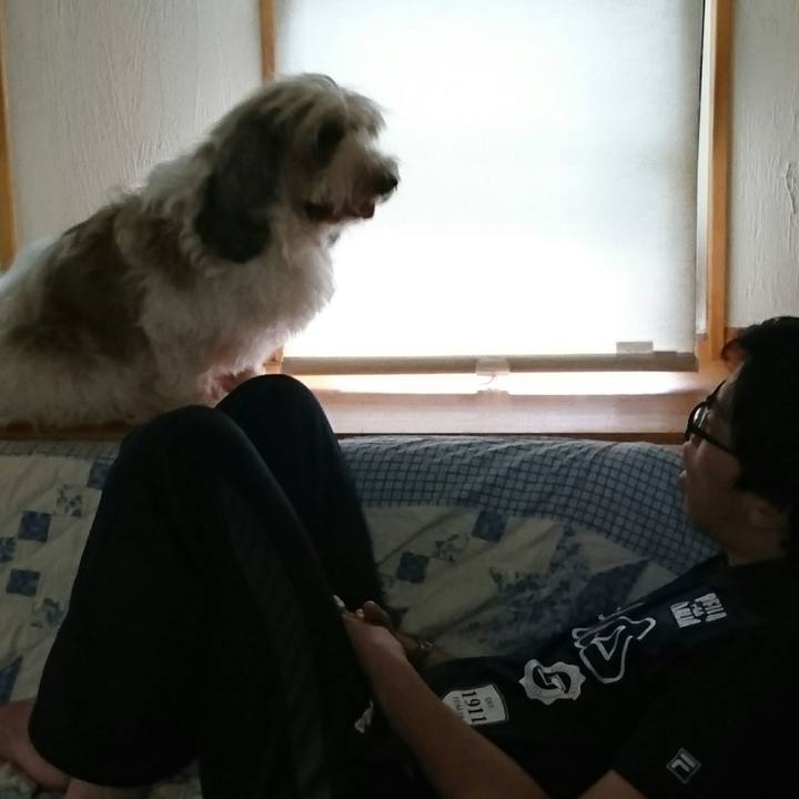 035854ec b303 4add ac47 502163c1c14b