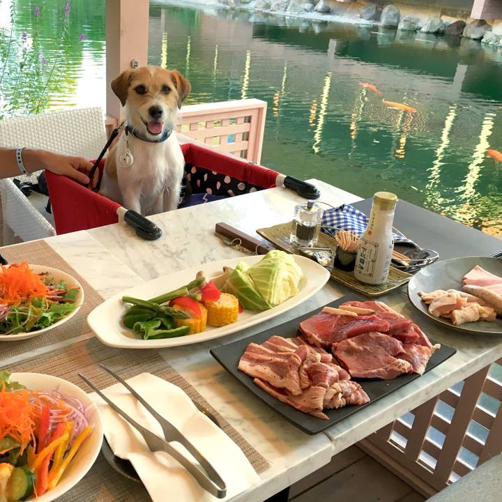 03588241 6439 4c30 b227 70cd1bf379bd