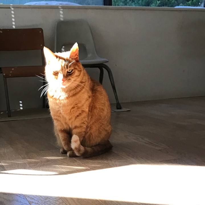 0358b2e4 a1f2 420e b1f9 a77961ac33f7