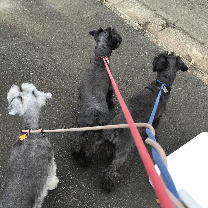 0358b4f9 78d9 412a ad10 7c9f0f26c40d