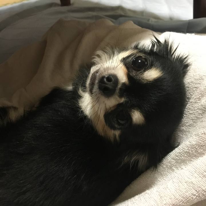 0358fbc0 0836 42a0 9e8a 0ba9415168ca