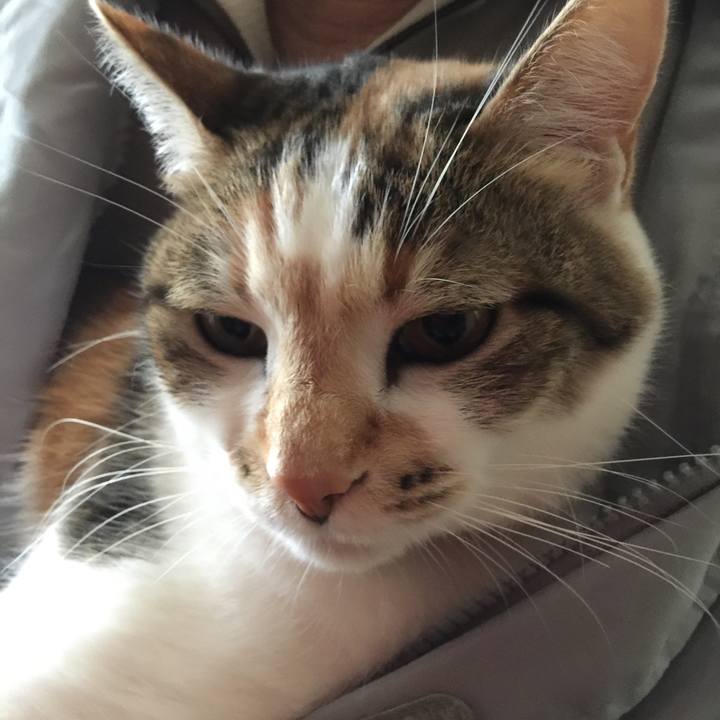 035930ce e8b3 44f7 8502 62ce379fa908