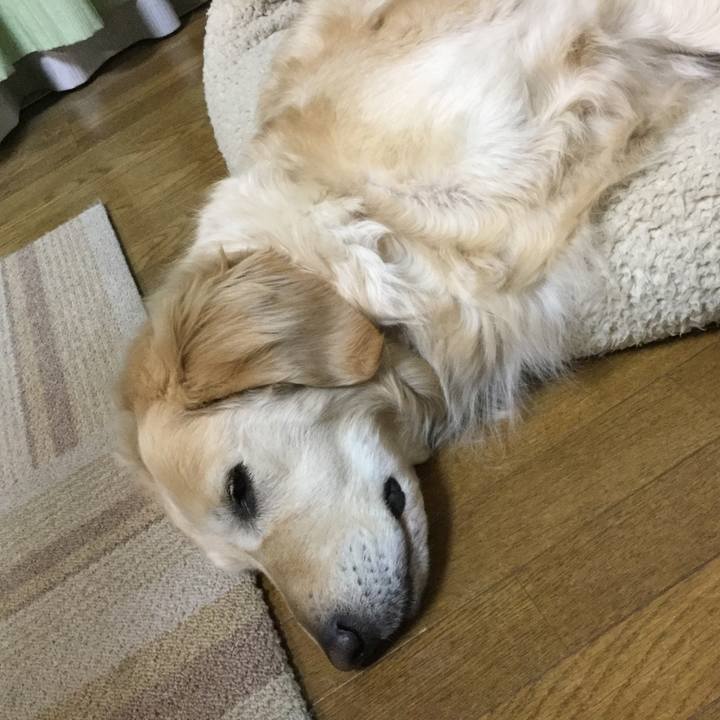 03596b44 c588 4d7c 81cc a462f80dad2f